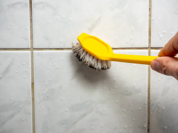 Mold Removal Process in Hampton, AR