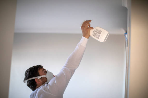 Best Mold Removal Company Near Me  in Hampton, AR