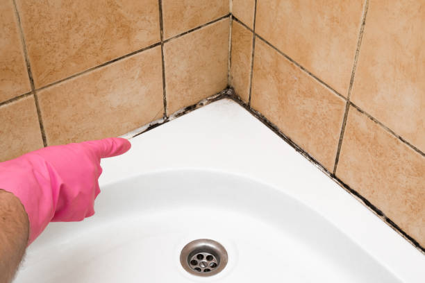 Best Mold Testing  in Hampton, AR